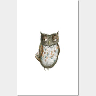 Harry the Owl Posters and Art